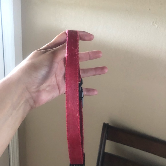 Pet Collar - Picture 2 of 2